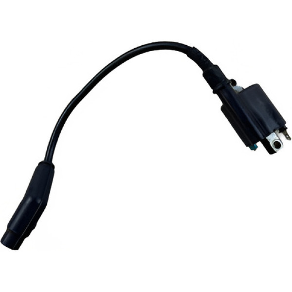 Bobina Ignição Titan 160 2020 Original Cx28