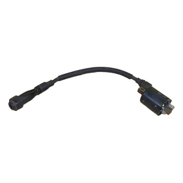 Bobina Yamaha Factor 2022 Original Completo