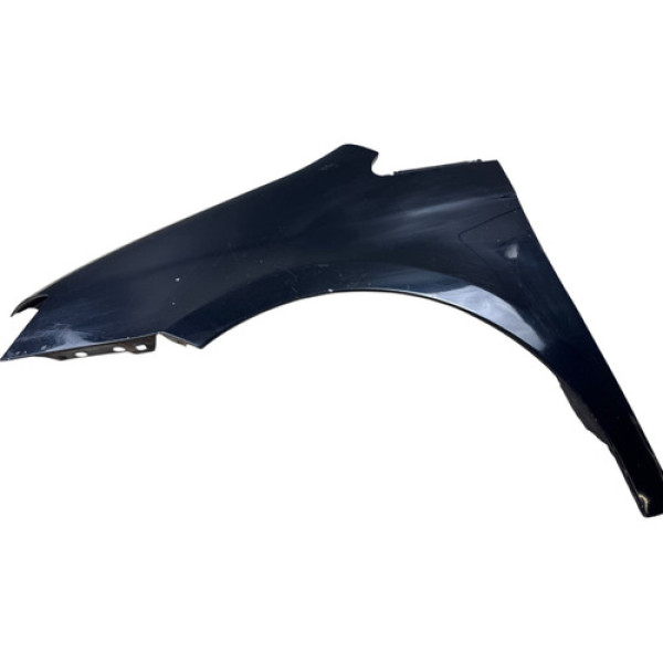 Pára-lama Lado Esquerdo Fiat Idea 2009 Original Liso