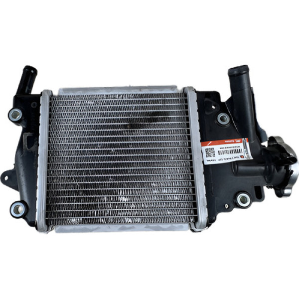 Radiador Água Honda Pcx 150 2016 A 2019 Original