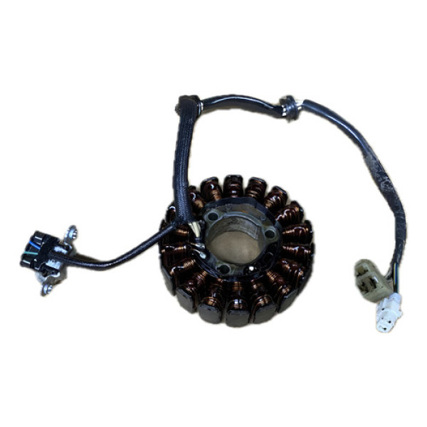 Estator Yamaha Fazer Tenere Lander 250 2013 Original