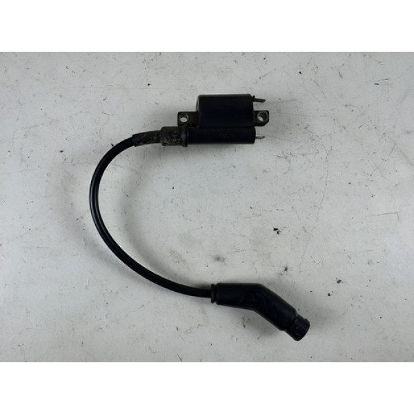 Bobina Ignição Titan 150 2015 Original Cx30