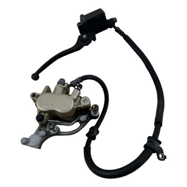 Sistema Freio Disco Dianteiro Twister 250 2022 Original