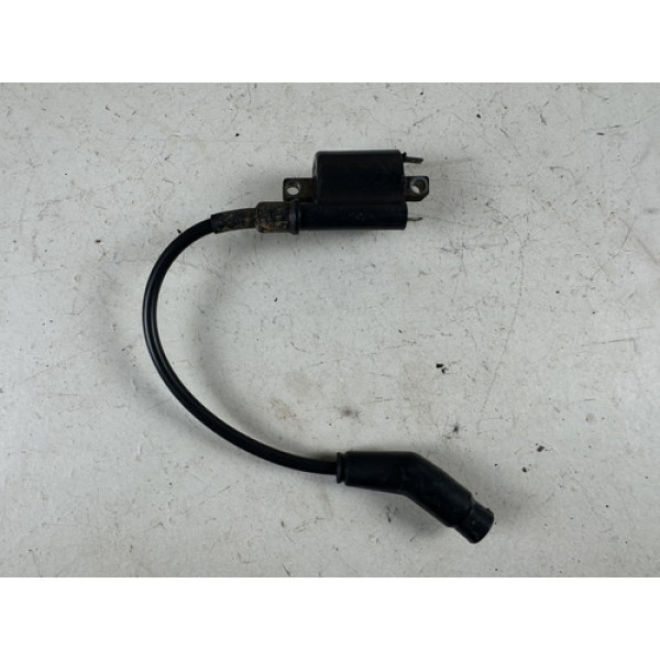 Bobina Ignição Titan 150 2015 Original Cx30