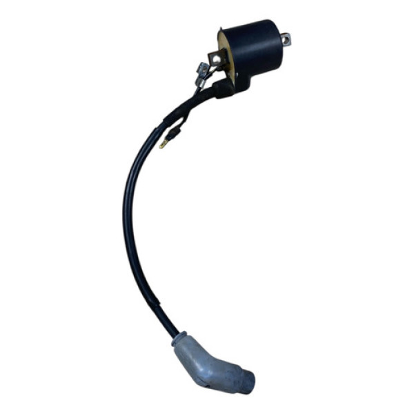 Bobina De Ignição Honda Cg 150 Titan Ks 2005/08