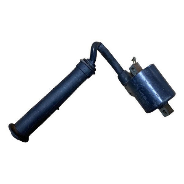 Bobina Twister 250 2002 A 2008 Original